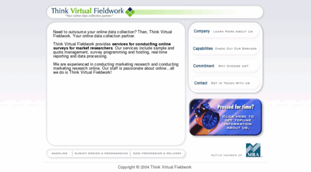 thinkvirtualsurvey.com