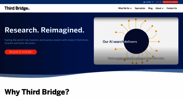 thirdbridge.com