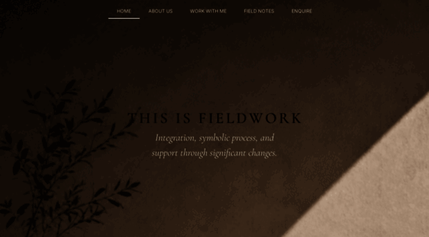 thisisfieldwork.com