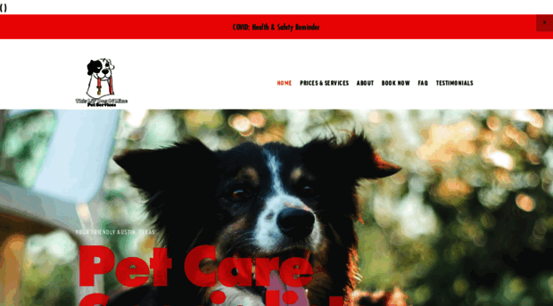 thislildogofmine.com