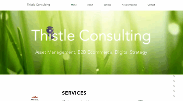 thistleconsulting.co.nz