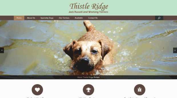 thistleridgeterriers.com