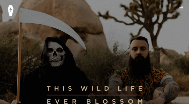 thiswildlifeband.com