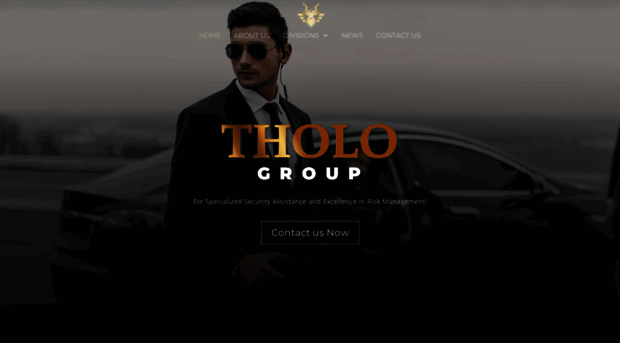 tholoconsultants.com