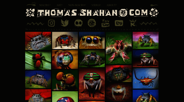 thomasshahan.com