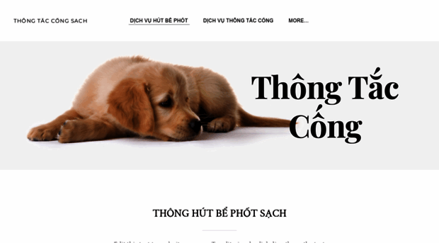 thongtaccongsach.weebly.com