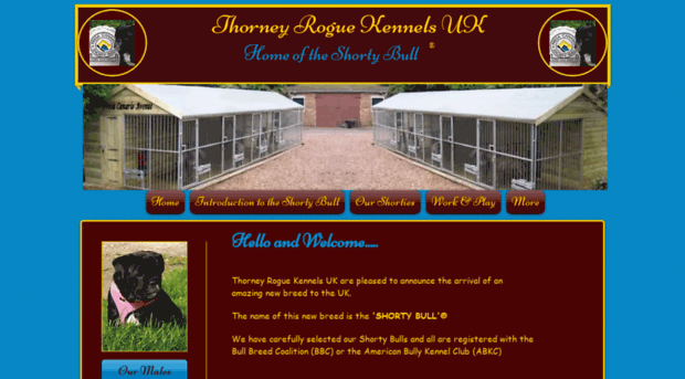 thorneyroguekennels.co.uk