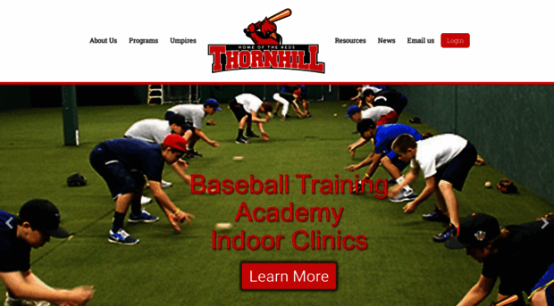 thornhillbaseball.net