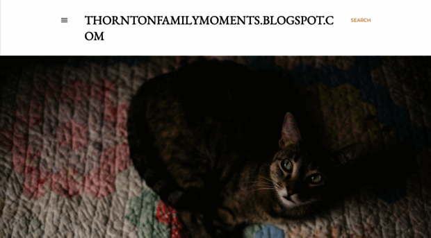 thorntonfamilymoments.blogspot.com