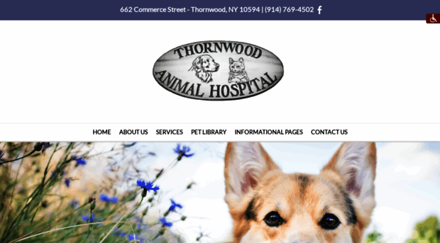 thornwoodanimalhospital.com