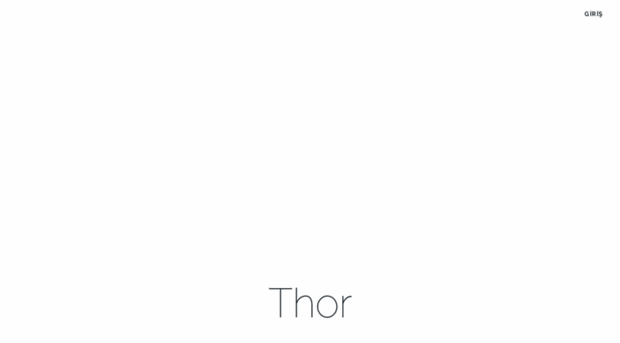 thorproject.net