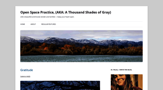 thousandshadesofgray.com