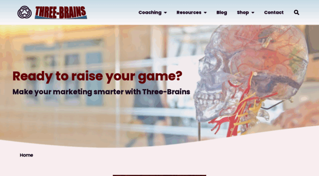 three-brains.com