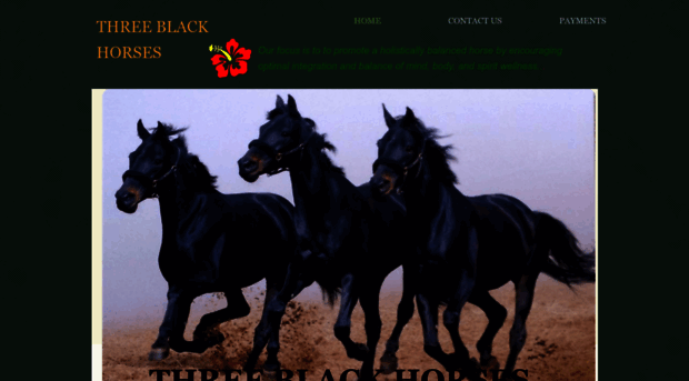 threeblackhorses.com