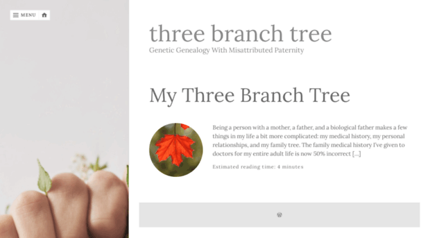 threebranchtree.com