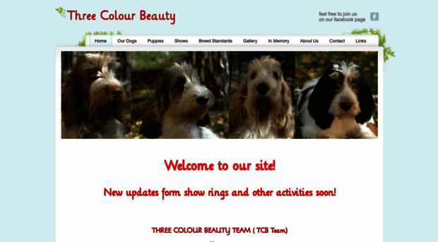 threecolourbeauty.com