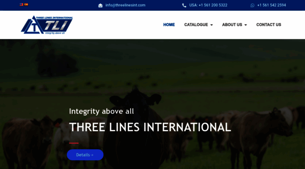 threelinesint.com