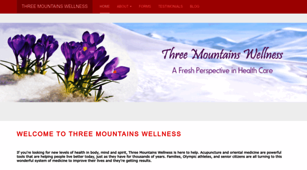 threemountainswellness.com