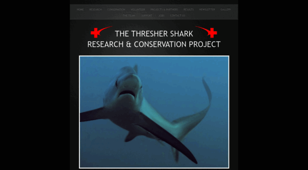 threshersharkproject.org