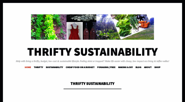 thriftysustainability.net