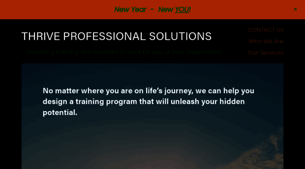 thriveprofessionalsolutions.com