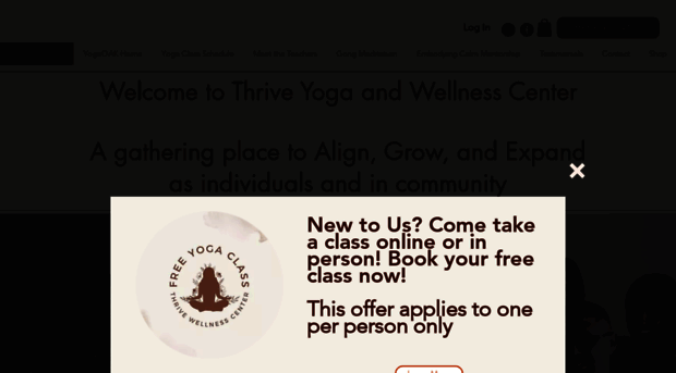 thriveyogaoc.com