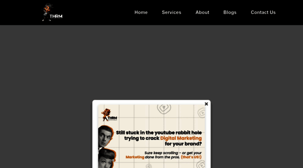 thrmdigitalmarketing.in