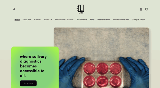 thslabs.co.uk