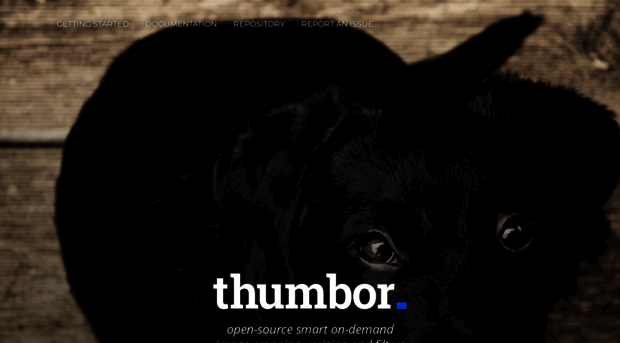 thumbor.org