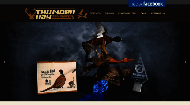 thunderbaytaxidermy.com