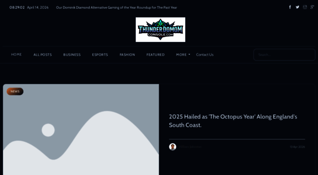 thunderdomeconsole.com