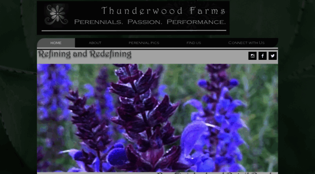 thunderwoodfarms.com