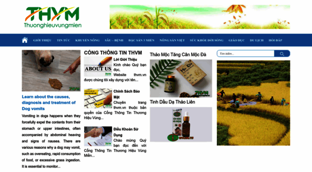 thvm.vn
