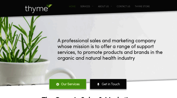 thymemarketing.com