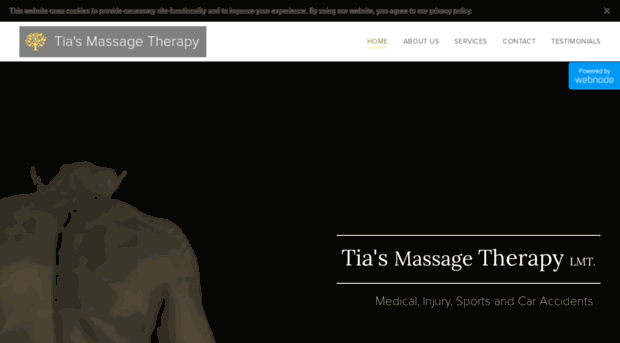 tia-s-massage-therapy6.webnode.com