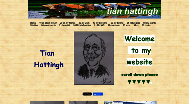 tianhattingh.com