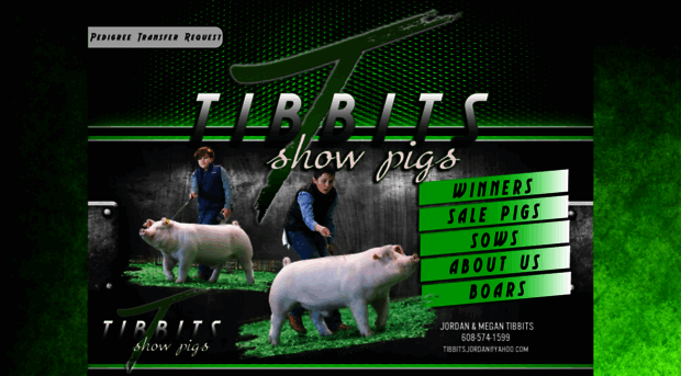 tibbitsshowpigs.com