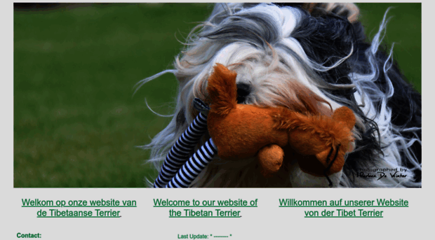 tibetaanse-terrier.eu