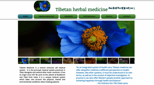 tibetanhmedicine.com