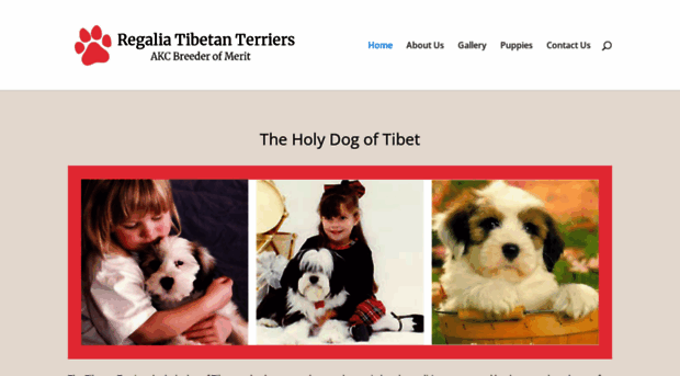 tibetanterriers.com