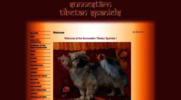 tibetspaniel.ch