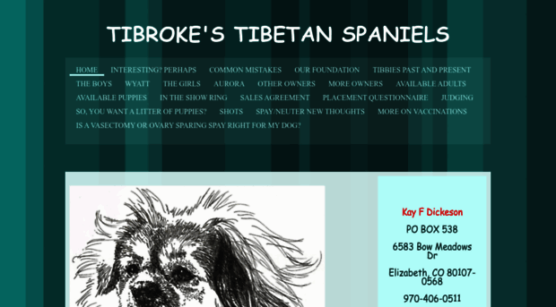 tibroke.com