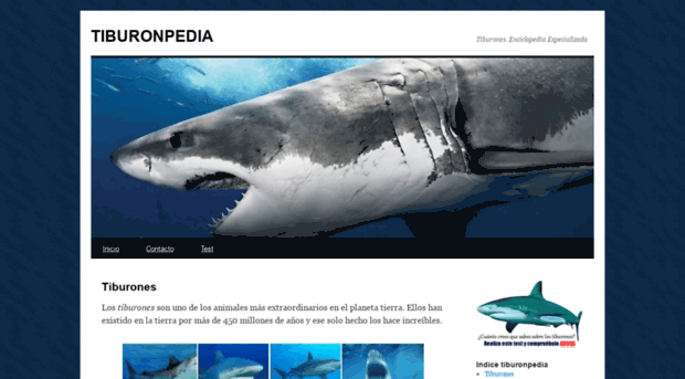 tiburonpedia.com