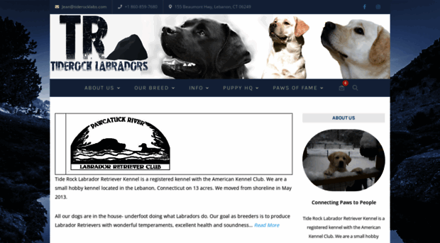 tiderocklabs.com