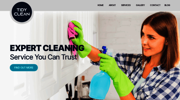 tidyclean.com.au