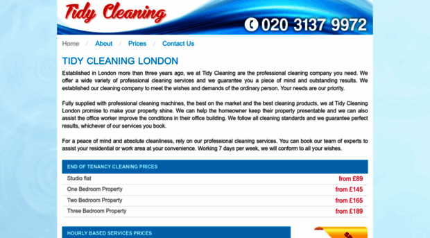 tidycleaning.co.uk