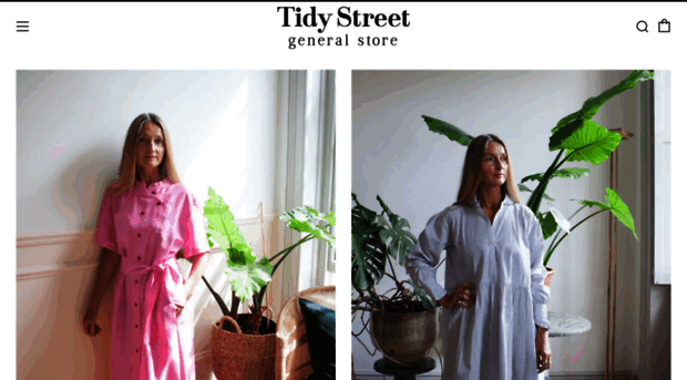 tidystreetstore.com