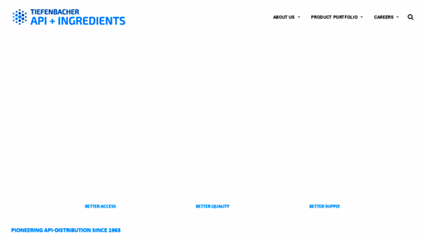 tiefenbacher-api.com