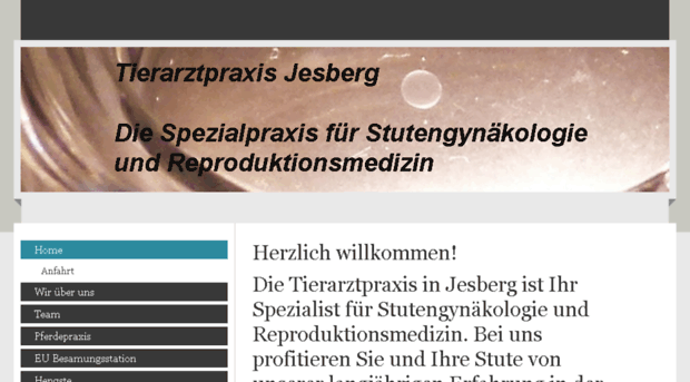 tierarztpraxis-jesberg.de