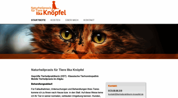 tierheilpraktikerin-knoepfel.de